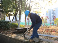 吴中区蒯祥路路灯114旁电缆井基础维修